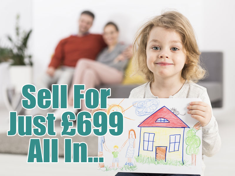 Web Desing Estate Agent